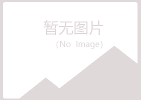 偃师白薇能源有限公司